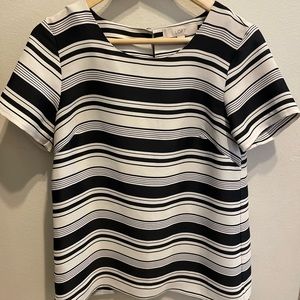 Ann Taylor Loft Silky Blouse